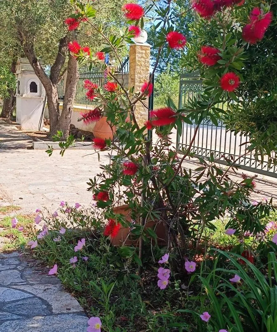 Aparthotel Filoxenia Nea Iraklia