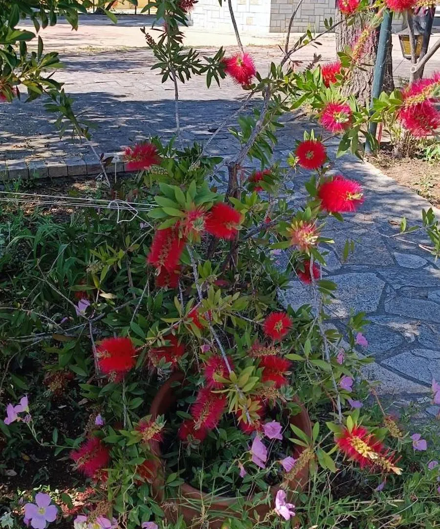 네아 이라클리아 Filoxenia 아파트 호텔 0*, 네아 이라클리아